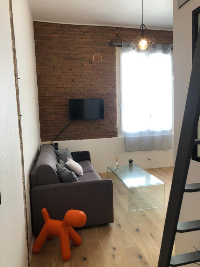 Charmant Studio De 20M2 En Hypercentre De טולוז מראה חיצוני תמונה