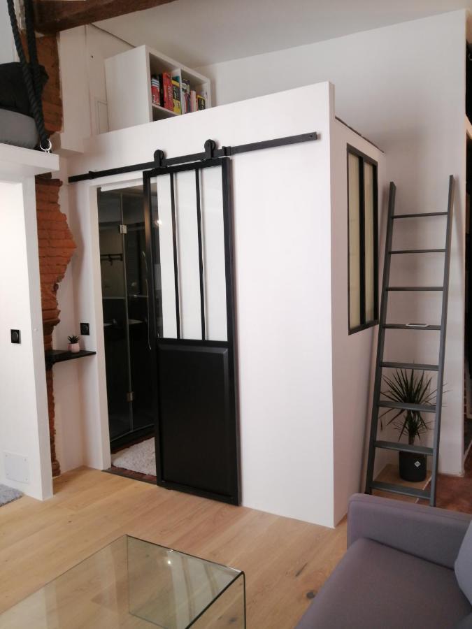 Charmant Studio De 20M2 En Hypercentre De טולוז מראה חיצוני תמונה